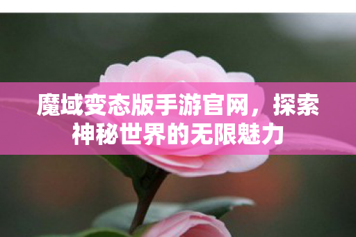 魔域变态版手游官网,探索神秘世界的无限魅力 魔域变态版手游官网,探索神秘世界的无限魅力