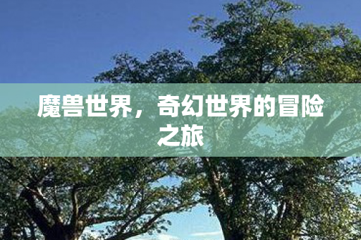 魔兽世界,奇幻世界的冒险之旅 魔兽世界,奇幻世界的冒险之旅