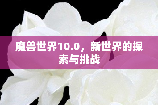 魔兽世界10.0，新世界的探索与挑战