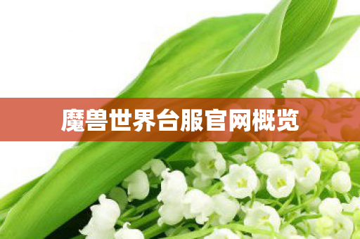 魔兽世界台服官网概览 魔兽世界台服官网概览