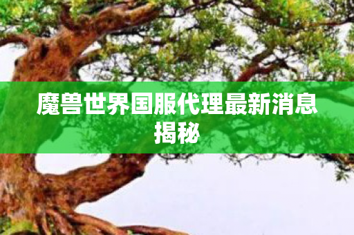 魔兽世界国服代理最新消息揭秘 魔兽世界国服代理最新消息揭秘