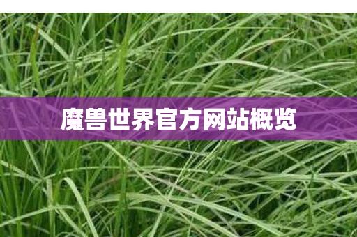 魔兽世界官方网站概览
