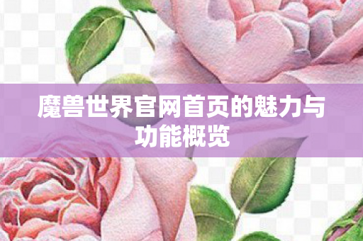魔兽世界官网首页的魅力与功能概览