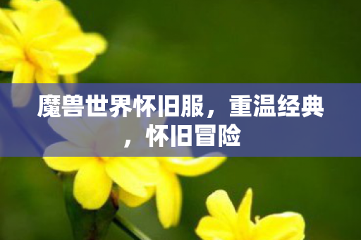 魔兽世界怀旧服，重温经典，怀旧冒险