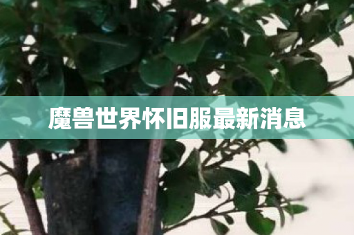 魔兽世界怀旧服最新消息 魔兽世界怀旧服最新消息