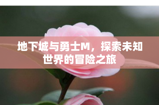 地下城与勇士M,探索未知世界的冒险之旅 地下城与勇士M,探索未知世界的冒险之旅