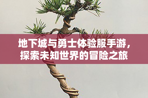 地下城与勇士体验服手游，探索未知世界的冒险之旅