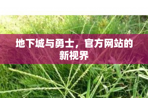地下城与勇士，官方网站的新视界
