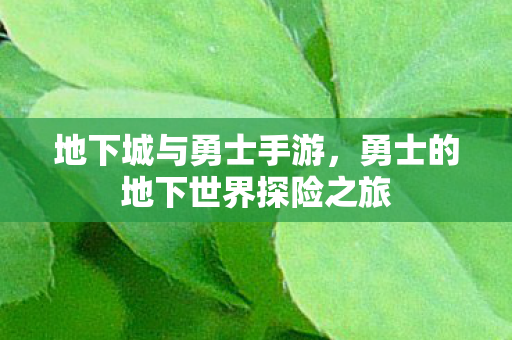 地下城与勇士手游,勇士的地下世界探险之旅 地下城与勇士手游,勇士的地下世界探险之旅