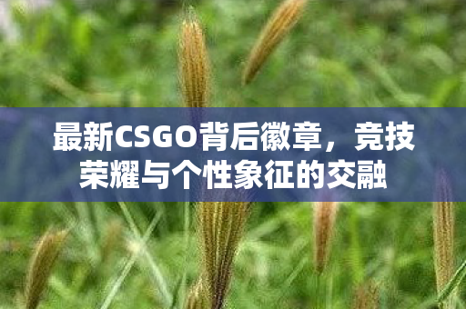 最新CSGO背后徽章，竞技荣耀与个性象征的交融
