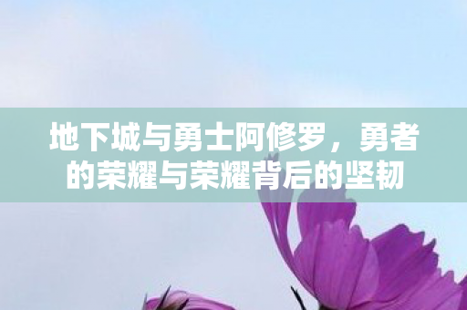 地下城与勇士阿修罗,勇者的荣耀与荣耀背后的坚韧 地下城与勇士阿修罗,勇者的荣耀与荣耀背后的坚韧