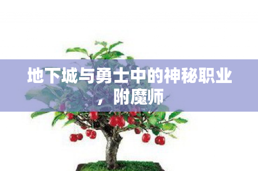 地下城与勇士中的神秘职业,附魔师 地下城与勇士中的神秘职业,附魔师