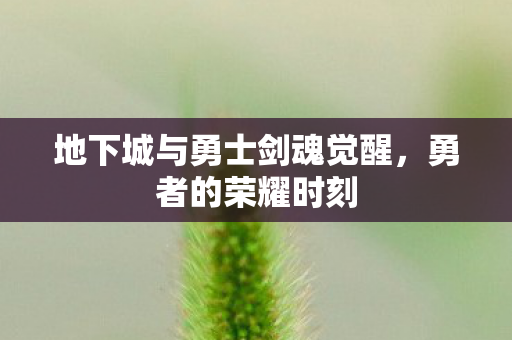 地下城与勇士剑魂觉醒,勇者的荣耀时刻 地下城与勇士剑魂觉醒,勇者的荣耀时刻