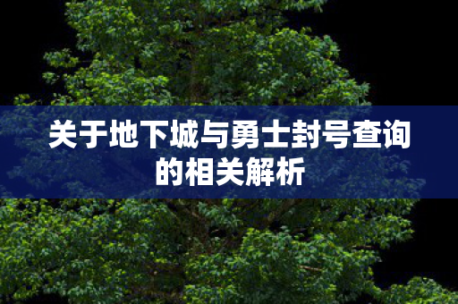 关于地下城与勇士封号查询的相关解析 关于地下城与勇士封号查询的相关解析