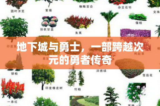 地下城与勇士,一部跨越次元的勇者传奇 地下城与勇士,一部跨越次元的勇者传奇