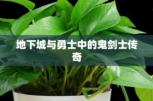 地下城与勇士中的鬼剑士传奇