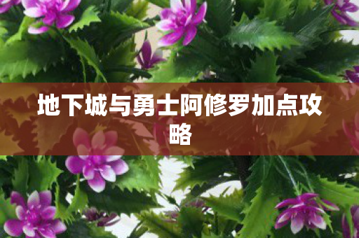 地下城与勇士阿修罗加点攻略
