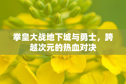 拳皇大战地下城与勇士,跨越次元的热血对决 拳皇大战地下城与勇士,跨越次元的热血对决
