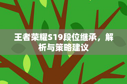 王者荣耀S19段位继承，解析与策略建议