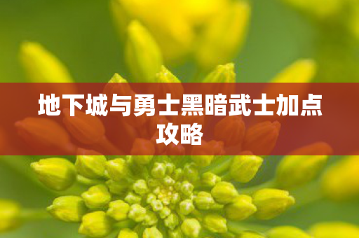 地下城与勇士黑暗武士加点攻略