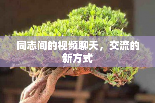 同志间的视频聊天,交流的新方式 同志间的视频聊天,交流的新方式
