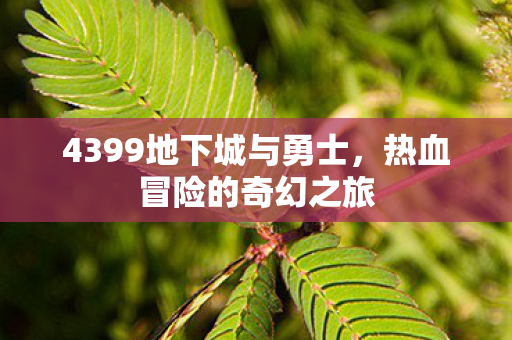 4399地下城与勇士,热血冒险的奇幻之旅 4399地下城与勇士,热血冒险的奇幻之旅