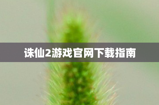 诛仙2游戏官网下载指南 诛仙2游戏官网下载指南