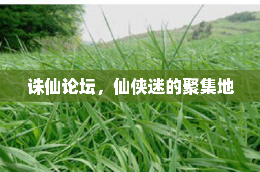诛仙论坛，仙侠迷的聚集地