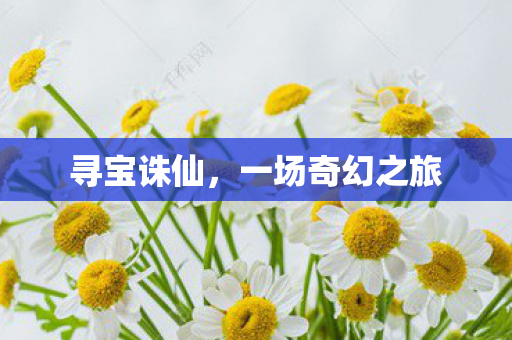 寻宝诛仙,一场奇幻之旅 寻宝诛仙,一场奇幻之旅
