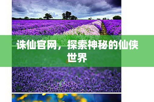 诛仙官网,探索神秘的仙侠世界 诛仙官网,探索神秘的仙侠世界