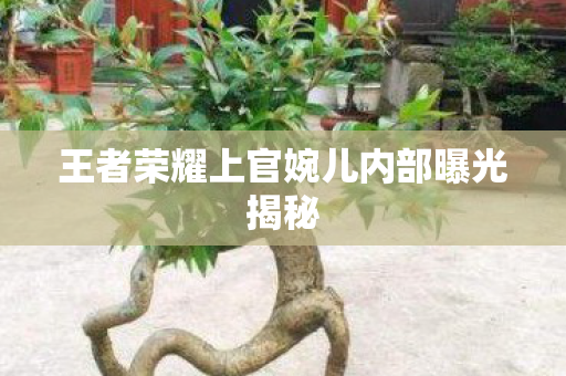 王者荣耀上官婉儿内部曝光揭秘 王者荣耀上官婉儿内部曝光揭秘