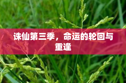 诛仙第三季,命运的轮回与重逢 诛仙第三季,命运的轮回与重逢