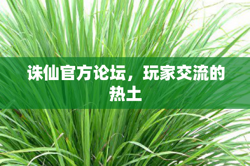诛仙官方论坛,玩家交流的热土 诛仙官方论坛,玩家交流的热土