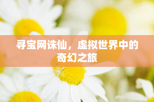 寻宝网诛仙，虚拟世界中的奇幻之旅
