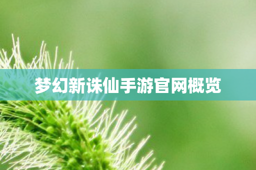 梦幻新诛仙手游官网概览