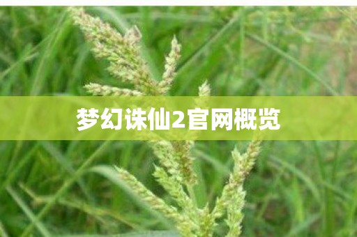 梦幻诛仙2官网概览 梦幻诛仙2官网概览