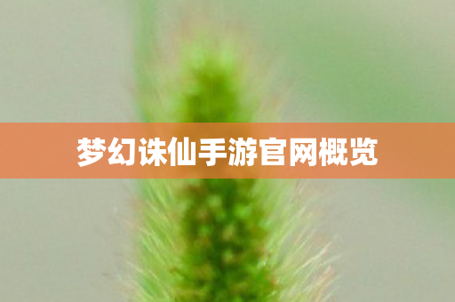 梦幻诛仙手游官网概览 梦幻诛仙手游官网概览