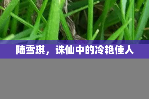 陆雪琪,诛仙中的冷艳佳人 陆雪琪,诛仙中的冷艳佳人