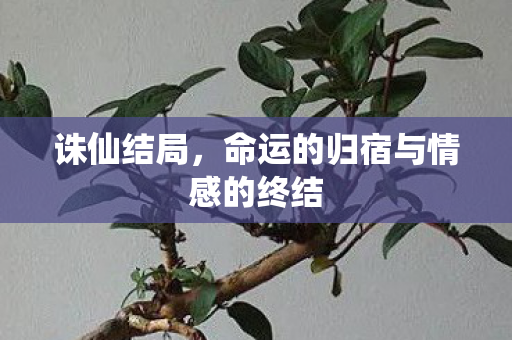 诛仙结局,命运的归宿与情感的终结 诛仙结局,命运的归宿与情感的终结