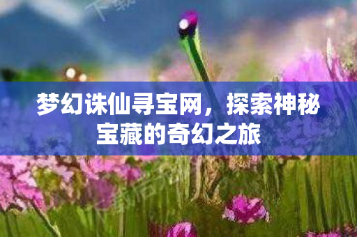 梦幻诛仙寻宝网，探索神秘宝藏的奇幻之旅