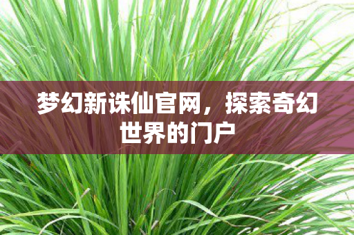 梦幻新诛仙官网,探索奇幻世界的门户 梦幻新诛仙官网,探索奇幻世界的门户