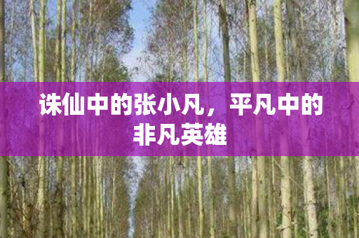 诛仙中的张小凡，平凡中的非凡英雄