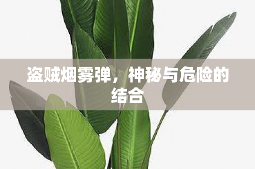 盗贼烟雾弹,神秘与危险的结合 盗贼烟雾弹,神秘与危险的结合