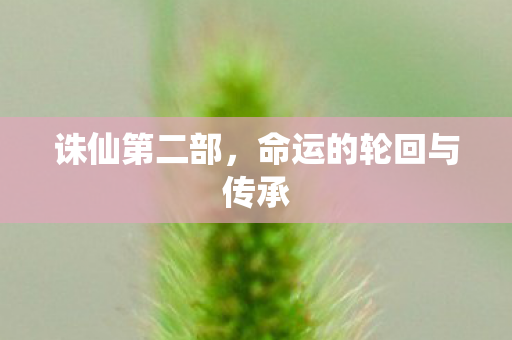 诛仙第二部,命运的轮回与传承 诛仙第二部,命运的轮回与传承