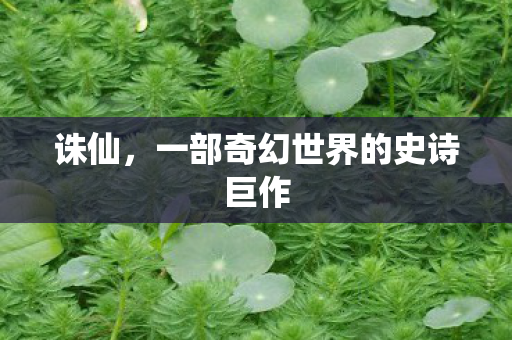诛仙，一部奇幻世界的史诗巨作