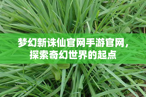 梦幻新诛仙官网手游官网，探索奇幻世界的起点