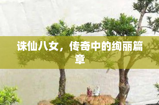 诛仙八女，传奇中的绚丽篇章