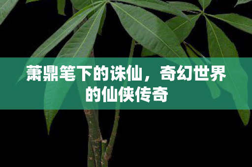 萧鼎笔下的诛仙,奇幻世界的仙侠传奇 萧鼎笔下的诛仙,奇幻世界的仙侠传奇