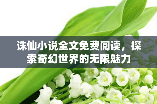 诛仙小说全文免费阅读，探索奇幻世界的无限魅力