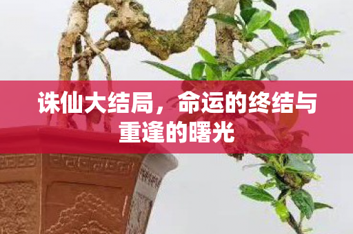 诛仙大结局,命运的终结与重逢的曙光 诛仙大结局,命运的终结与重逢的曙光